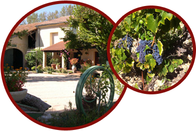 Domaine De La Mereuille - Orange Domaine De La Mereuille - Orange