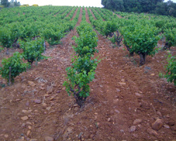 Domaine De La Mereuille - Orange - Nos réalisations