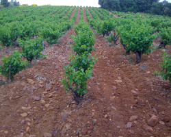 Domaine De La Mereuille - Orange - Nos réalisations