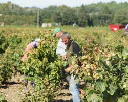 Domaine De La Mereuille - Orange - Nos réalisations