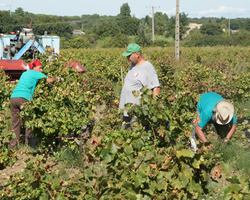 Domaine De La Mereuille - Orange - Nos réalisations