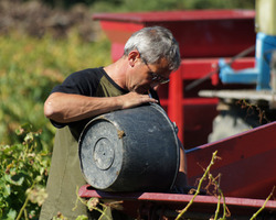 Domaine De La Mereuille - Orange - Nos réalisations