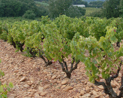 Domaine De La Mereuille - Orange - Nos réalisations