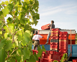 Domaine De La Mereuille - Orange - Nos réalisations