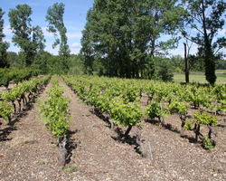 Domaine De La Mereuille - Orange - Nos réalisations